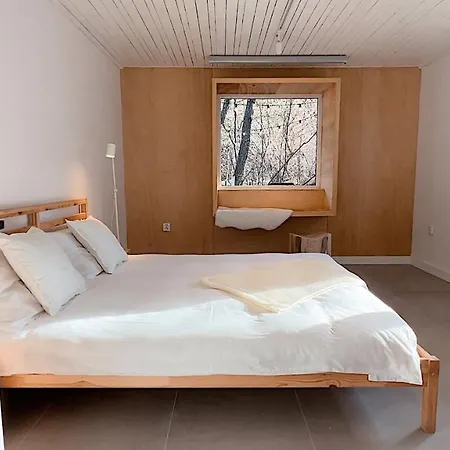 Sapte Holiday home *